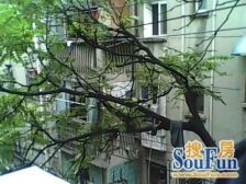 松柏巷 南北通透,采光好 装修好,环镜优美 近地铁 视野好,诚心出售