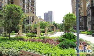 层上观邸1室2厅南
