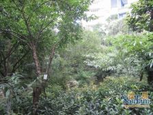 远大都市风景三期 4室3厅 西南
