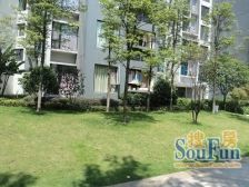 滨江路 金科廊桥水岸(涪陵)三房80万