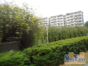 锦泰地铁口方舟大厦精装一房拎包入住
