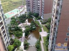 带大花园别墅物业,大社区,格局方正。