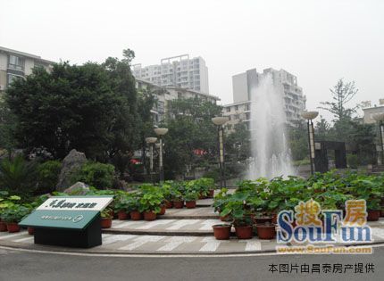 小区相关图