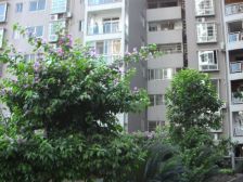 主城片区 建宇迷你星座一房23.5万