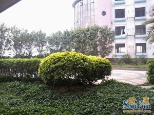 海景大厦,江边,通风采光好,高层三房,适合居住,