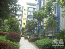 岚颐公馆2室1厅东南西北