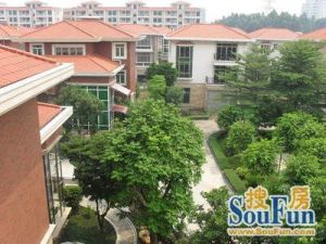 嘉庆花园精品四房户型方正好楼层