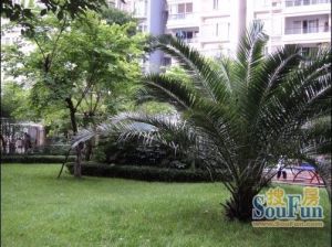 劲力蓝色理想2室1厅东南