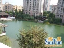 直面顾村公园,临近双轨交7,15号线,新出南北通大4房2卫