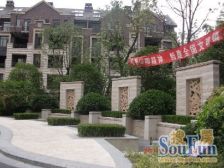 金山百联600米,近海棠,电梯房,刚需改善皆宜