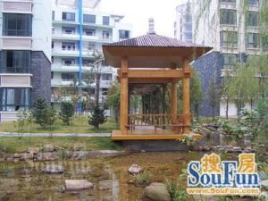 大户型 全明户型 格局好 业主诚心