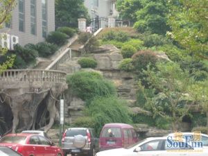 滨江金融 地段配套齐全 一线临江的双拼别墅