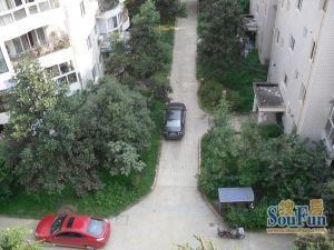 双兴名居 4室1厅 东北