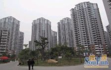 东二环 鹤林新城 电梯房 单身公寓