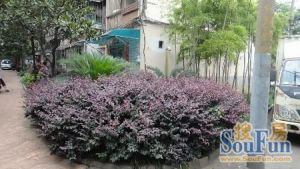 业主自住精装修,有小露台,户型周正采光好
