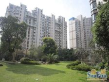 洋房,小区C位电梯小高层中高楼层好户型,位置相当安静