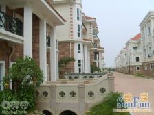 环东海域精装联排别墅 格局方正 采光充足