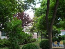 入住快 通风好,无抵押 新上房源