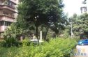 关家苑实景图