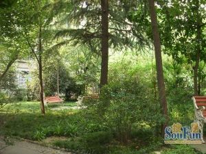 人民中路二段51号 2室1厅 东南