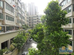 免佣税费低全新精装品质户型正南正北大阳台