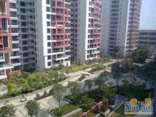 美的新海岸自由立方 3室2厅 南 北