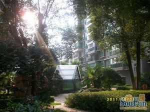 桂花社区2室1厅南北