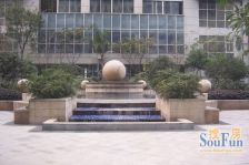 商鼎国际1室1厅西