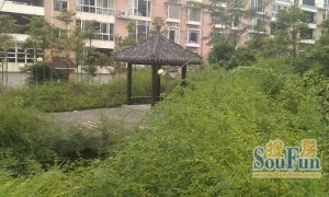 警苑小区4室2厅西南