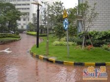 西凌新邨一村1室1卫南朝向368.00万元/套出售