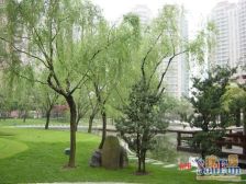 罗马花园2室南朝向950.00万元/套出售