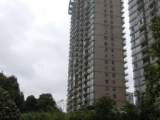 金外滩花园3室2厅2卫南朝向3800.00万元/套出售