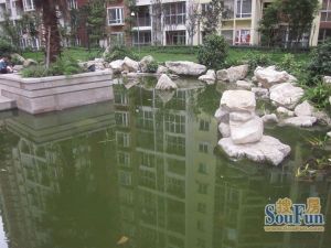 枫祥苑2室2厅西