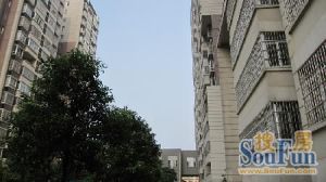 急售 随时看房 采光好 两证在手 家具电器齐全