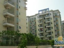 南向精装三房,格局方正,采光楼层好,生活交通方便