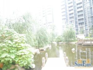 双盈卧龙湾2室2厅南