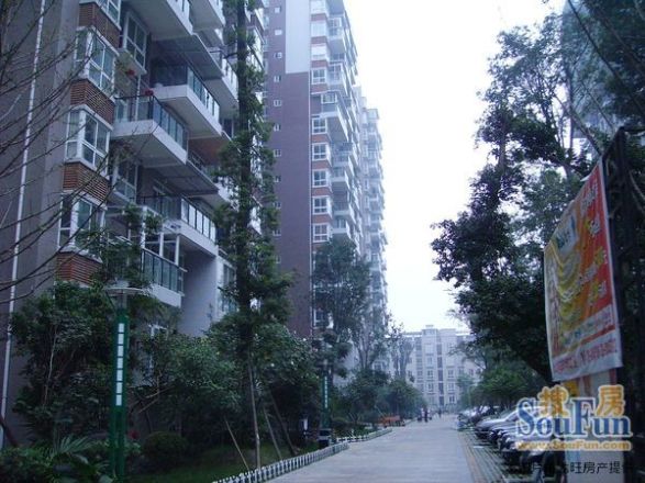 金上城实景图
