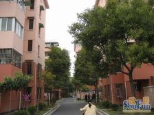 随时看房,毛坯,产权清晰,急售房源