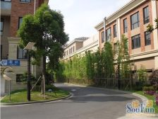 高档纯别墅社区:联排东边套,高绿化 位置好 采光充足