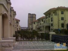 唐镇·金领国际·4室·2厅