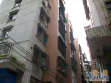 整栋户型好,格局方正,阳光明媚好。