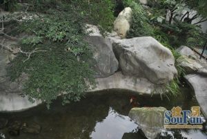 清华坊5室2厅南