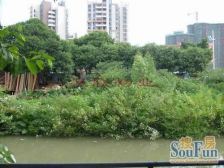 红棉中路 单家独户 出入繁华 拎包入住 可以入车