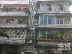 世发名居3室2厅南