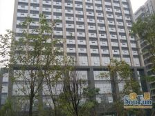 九峰国际1室1厅东南