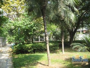 黄金海岸 3室2厅 南 北