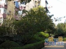 一楼带天井,自行车库垫高,可直接拎包入住