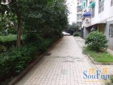 急售:可议价业主自住靠香樟路交通出行便利带家具