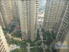 望江橡树林一期1室1厅东