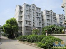 新上,精装修南北两房 低楼层 诚意出售